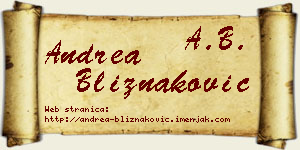 Andrea Bliznaković vizit kartica